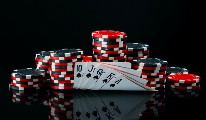 ZK77 Live Betting
